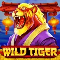 Nn777 Casino Online